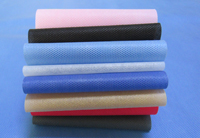 广华办事处涤纶（PET）无纺布是什么